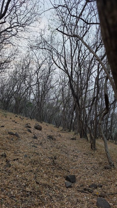 Baner Hill Jan 2026
