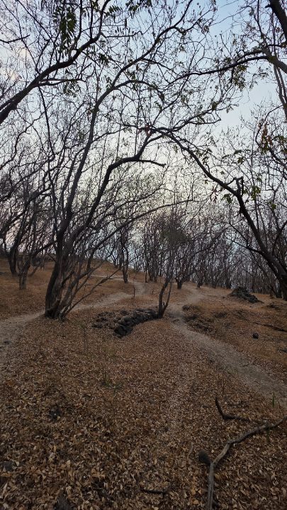 Baner Hill Feb 2026