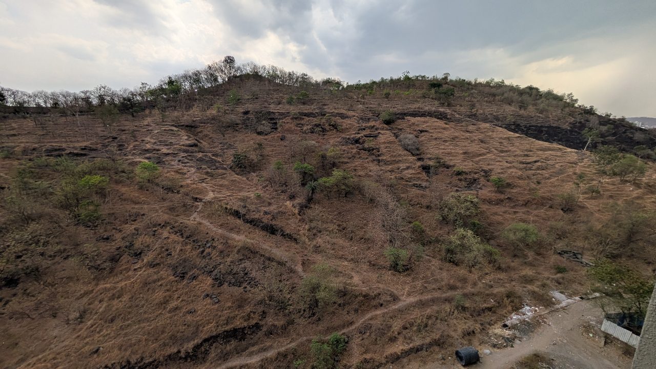Baner Hill ~35 days ago