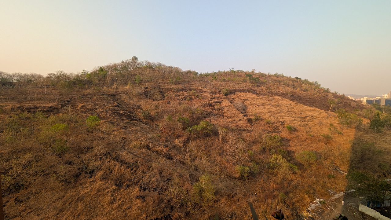 Baner Hill 1 April 2026