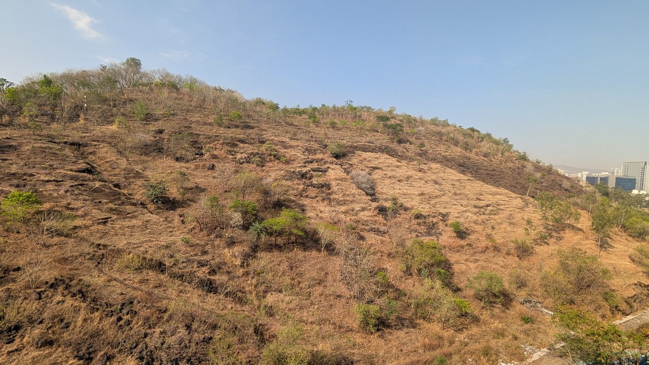 Baner Hill ~35 days ago