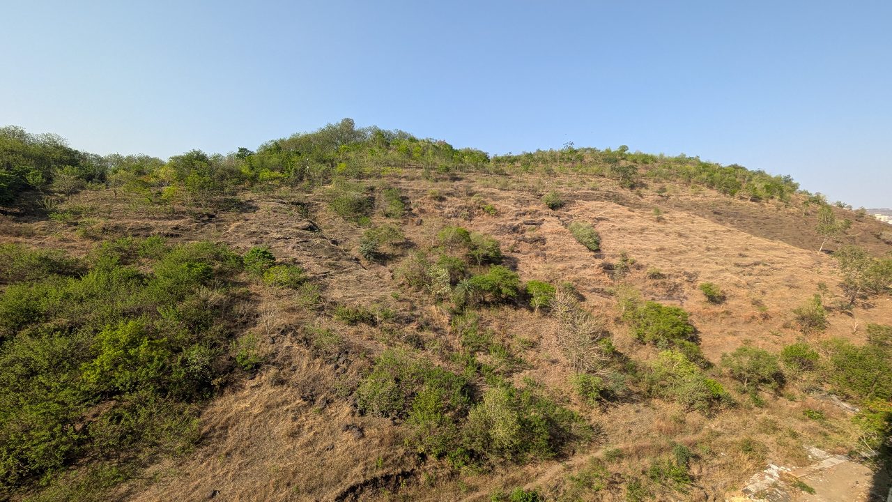 Baner Hill ~35 days ago