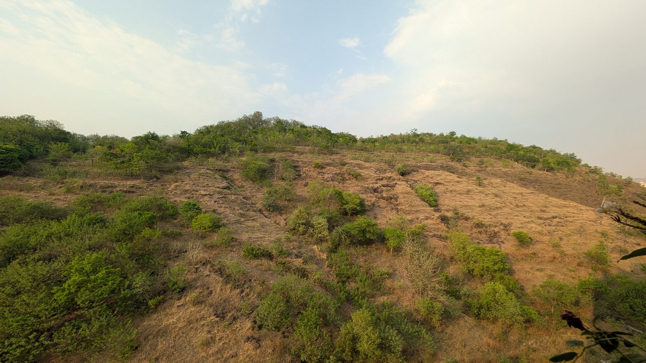 Baner Hill ~35 days ago