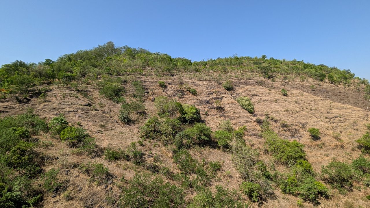 Baner Hill 1 May 2026