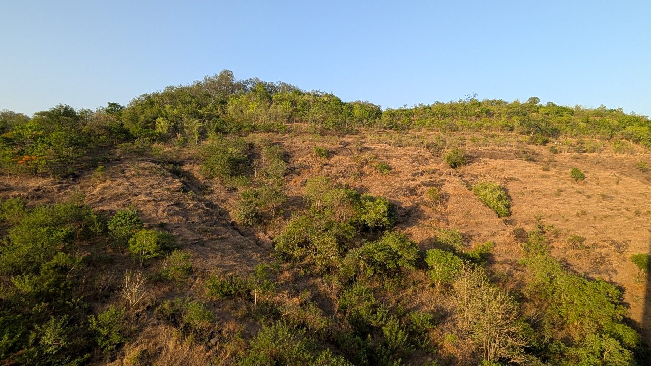Baner Hill ~35 days ago