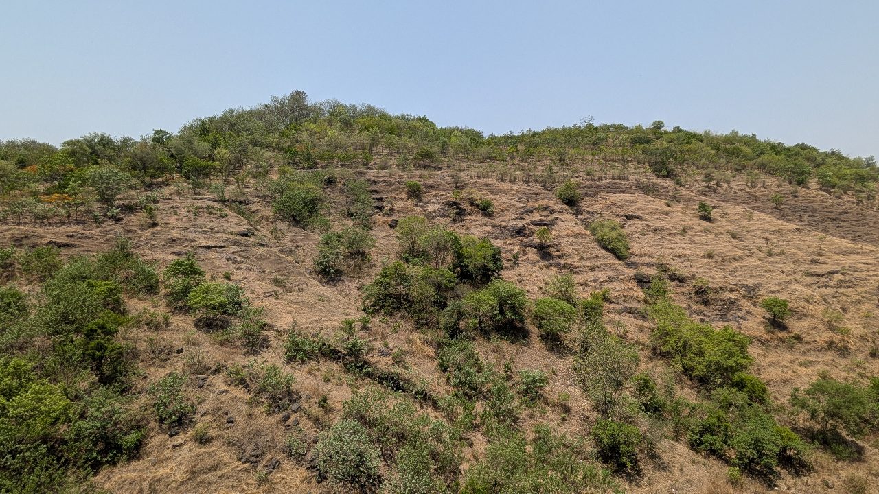 Baner Hill ~35 days ago