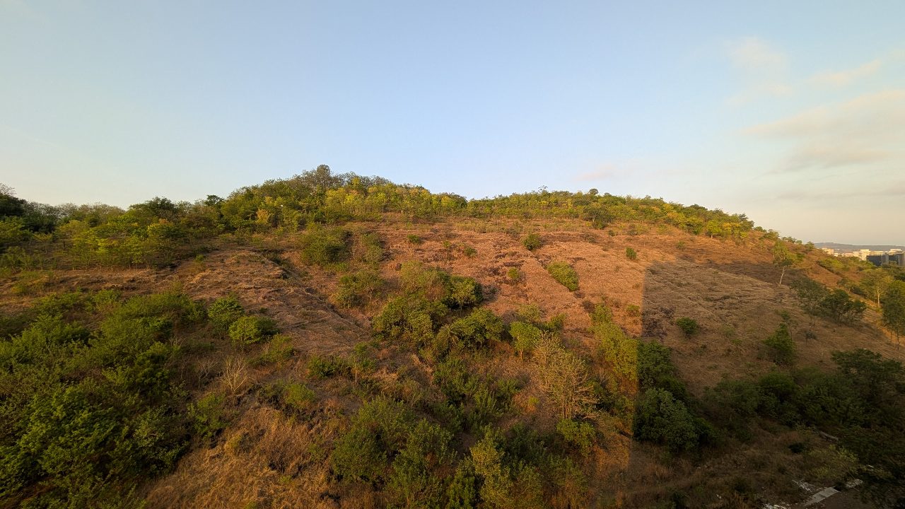 Baner Hill ~35 days ago