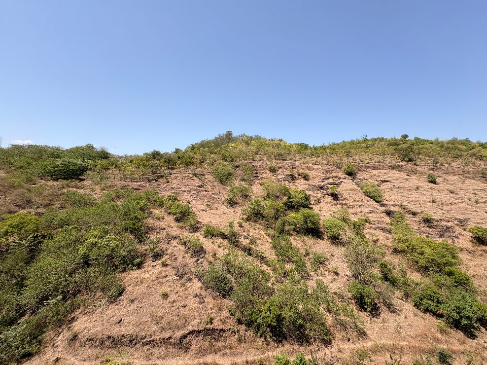 Baner Hill ~35 days ago