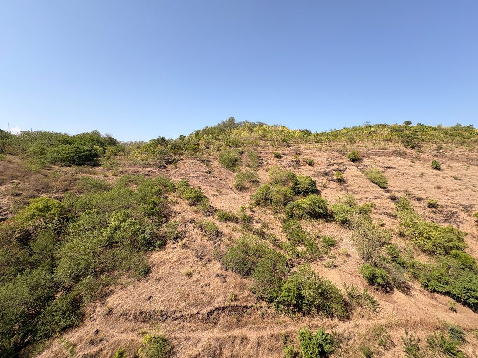 A Balcony, A Hill, And An Idea