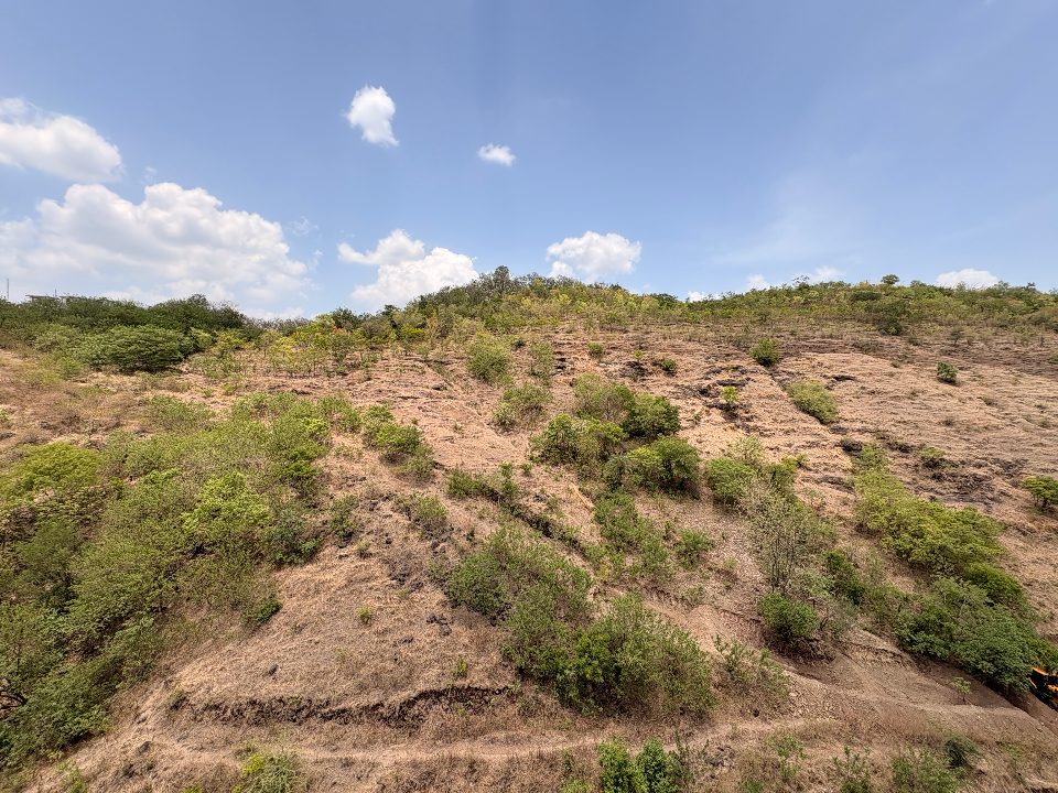 Digging Trenches Is Easy. Growing a Forest Isn't.