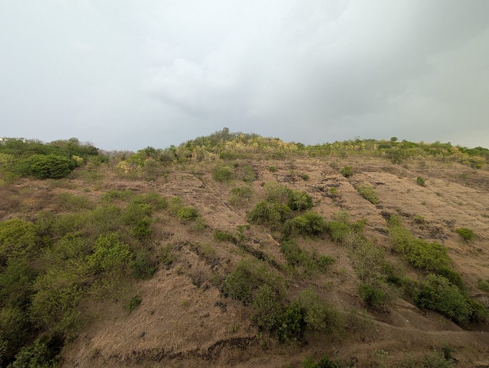 Baner Hill, Pune — week of 2026-06-15