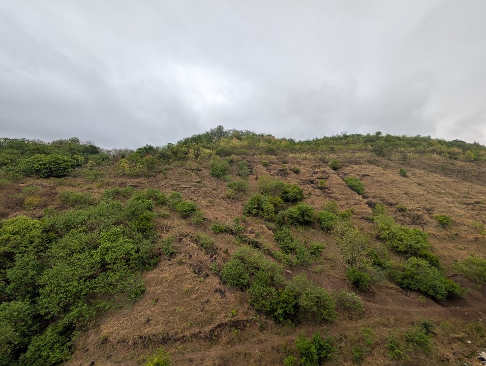 Baner Hill ~35 days ago