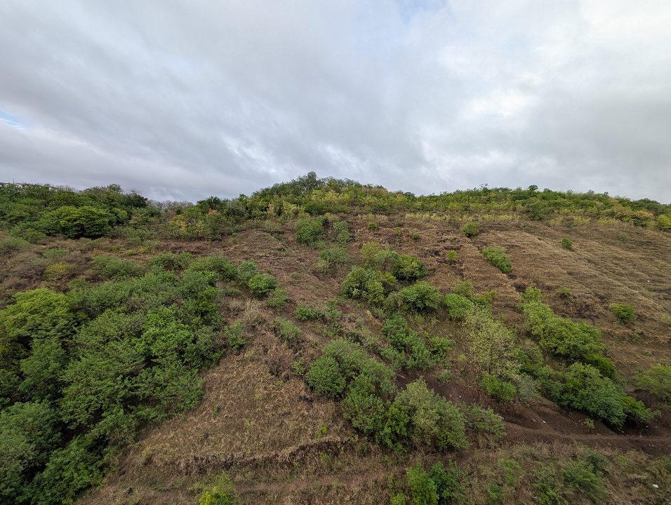 Baner Hill 1 July 2026