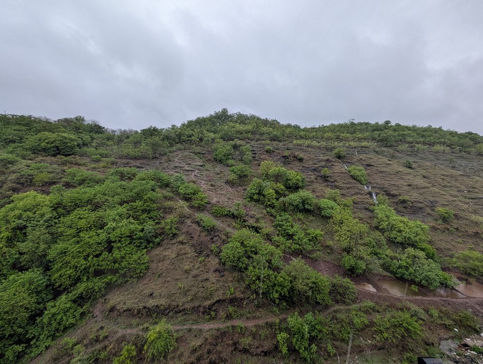 Baner Hill ~35 days ago