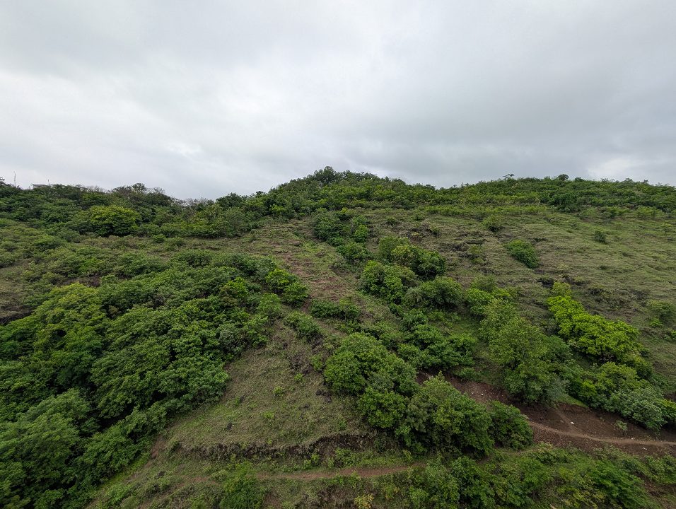 Baner Hill ~35 days ago