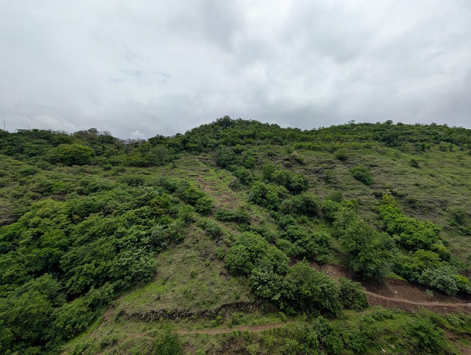 Baner Hill ~35 days ago
