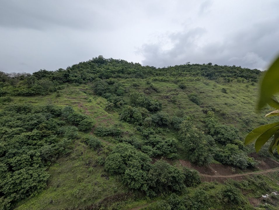 Baner Hill, Pune — week of 2026-08-17