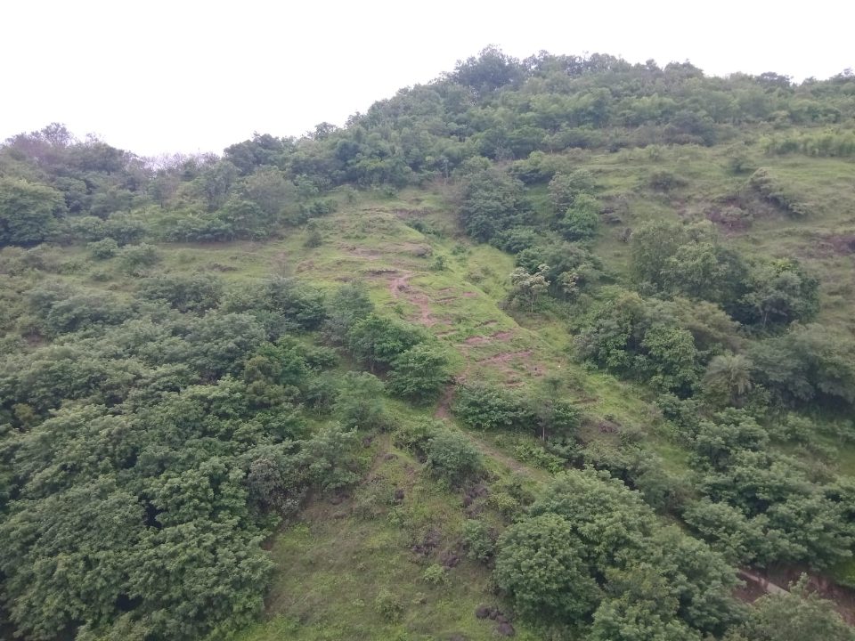 Baner Hill ~35 days ago