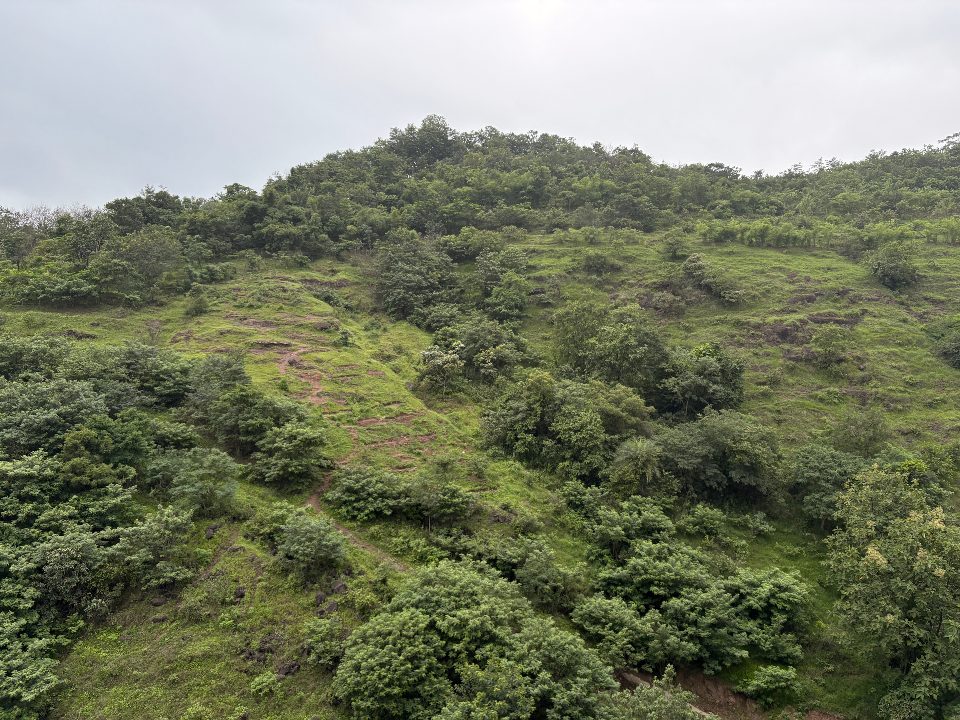 Baner Hill, Pune — week of 2026-08-24