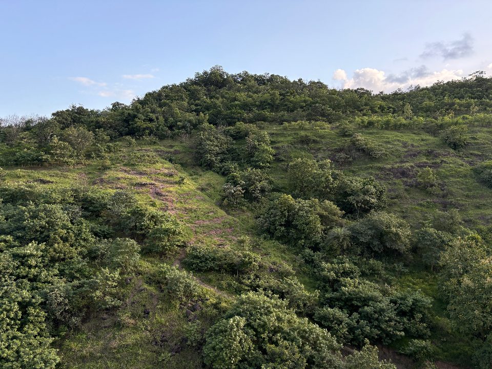 Baner Hill 1 September 2026