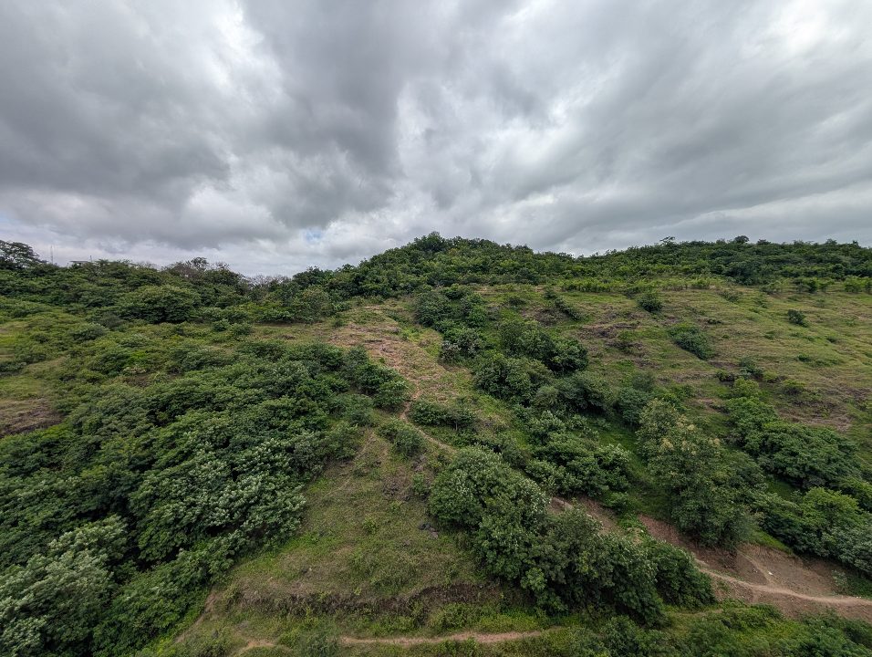 Baner Hill ~35 days ago